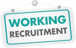 https://www.mncjobs.co.uk/company/working-recruitment-ltd-1648749934