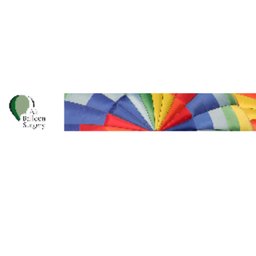 https://www.mncjobs.co.uk/company/air-balloon-surgery