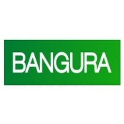 https://www.mncjobs.co.uk/company/bangura-solutions