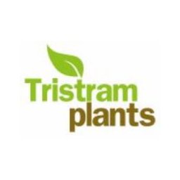 https://www.mncjobs.co.uk/company/binsted-nursery