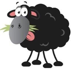 https://www.mncjobs.co.uk/company/black-sheep-utilities-ltd
