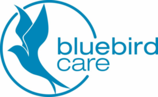 https://www.mncjobs.co.uk/company/bluebird-care