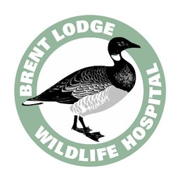 https://www.mncjobs.co.uk/company/brent-lodge-wildlife-hospital