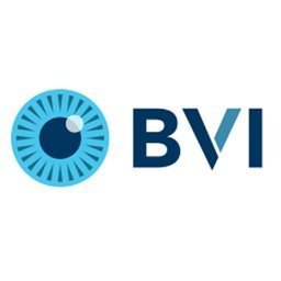 https://www.mncjobs.co.uk/company/bvi-medical