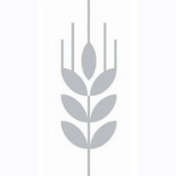 https://www.mncjobs.co.uk/company/corn-exchange-newbury