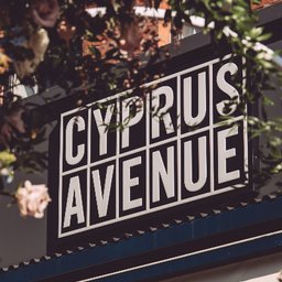 https://www.mncjobs.co.uk/company/cyprus-avenue
