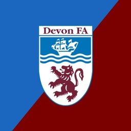 https://www.mncjobs.co.uk/company/devon-county-football-association