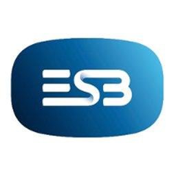 https://www.mncjobs.co.uk/company/electricity-supply-board-esb