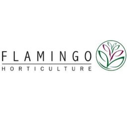 https://www.mncjobs.co.uk/company/flamingo-horticulture-ltd