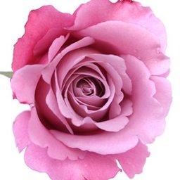 https://www.mncjobs.co.uk/company/georgina-beauty-rooms