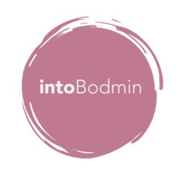 https://www.mncjobs.co.uk/company/intobodmin-cic