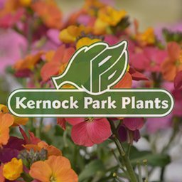 https://www.mncjobs.co.uk/company/kernock-park-plants-ltd
