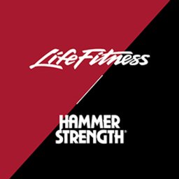 https://www.mncjobs.co.uk/company/life-fitness-hammer-strength