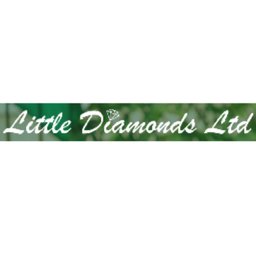 https://www.mncjobs.co.uk/company/little-diamonds-ltd