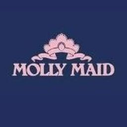 https://www.mncjobs.co.uk/company/molly-maid-uk