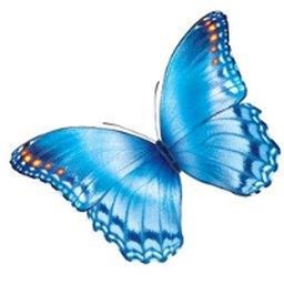 https://www.mncjobs.co.uk/company/nationwide-childrens-hospital