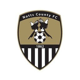 https://www.mncjobs.co.uk/company/notts-county-football-club