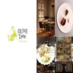 https://www.mncjobs.co.uk/company/olive-tree-restaurant