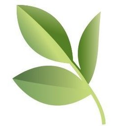 https://www.mncjobs.co.uk/company/pierce-washington