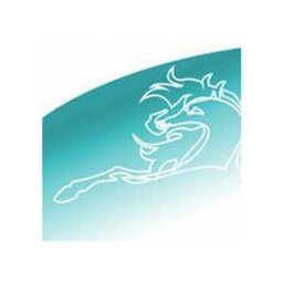 https://www.mncjobs.co.uk/company/rapport