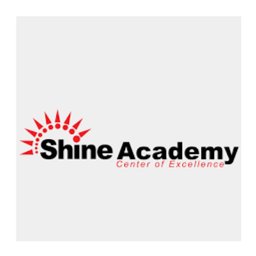 https://www.mncjobs.co.uk/company/shine-academy