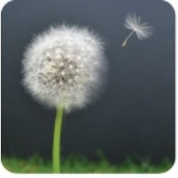 https://www.mncjobs.co.uk/company/st-helena-hospice