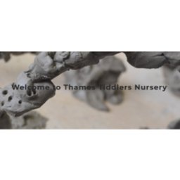 https://www.mncjobs.co.uk/company/thames-tiddlers-nursery