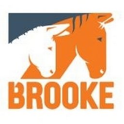 https://www.mncjobs.co.uk/company/the-brooke
