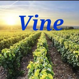https://www.mncjobs.co.uk/company/the-vine