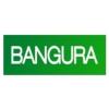 https://www.mncjobs.co.uk/company/bangura-solutions