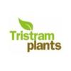 https://www.mncjobs.co.uk/company/binsted-nursery