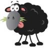 https://www.mncjobs.co.uk/company/black-sheep-utilities-ltd