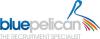 https://www.mncjobs.co.uk/company/blue-pelican