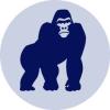 https://www.mncjobs.co.uk/company/bluekong-networks-limited