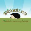 https://www.mncjobs.co.uk/company/brambles-outdoor-nursery-group