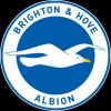 https://www.mncjobs.co.uk/company/brighton-amp-hove-albion-football-club
