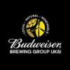 https://www.mncjobs.co.uk/company/budweiser-brewing-group-ukampi
