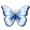 https://www.mncjobs.co.uk/company/butterfly-blue-day-nursery