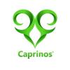 https://www.mncjobs.co.uk/company/caprinos-pizza