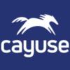 https://www.mncjobs.co.uk/company/cayuse