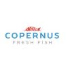 https://www.mncjobs.co.uk/company/copernus-ltd