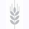 https://www.mncjobs.co.uk/company/corn-exchange-newbury