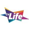 https://www.mncjobs.co.uk/company/cv-life