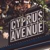 https://www.mncjobs.co.uk/company/cyprus-avenue