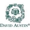 https://www.mncjobs.co.uk/company/david-austin-roses