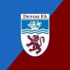 https://www.mncjobs.co.uk/company/devon-county-football-association