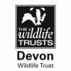 https://www.mncjobs.co.uk/company/devon-wildlife-trust