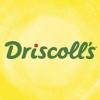 https://www.mncjobs.co.uk/company/driscolls