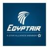 https://www.mncjobs.co.uk/company/egyptair