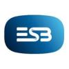 https://www.mncjobs.co.uk/company/electricity-supply-board-esb